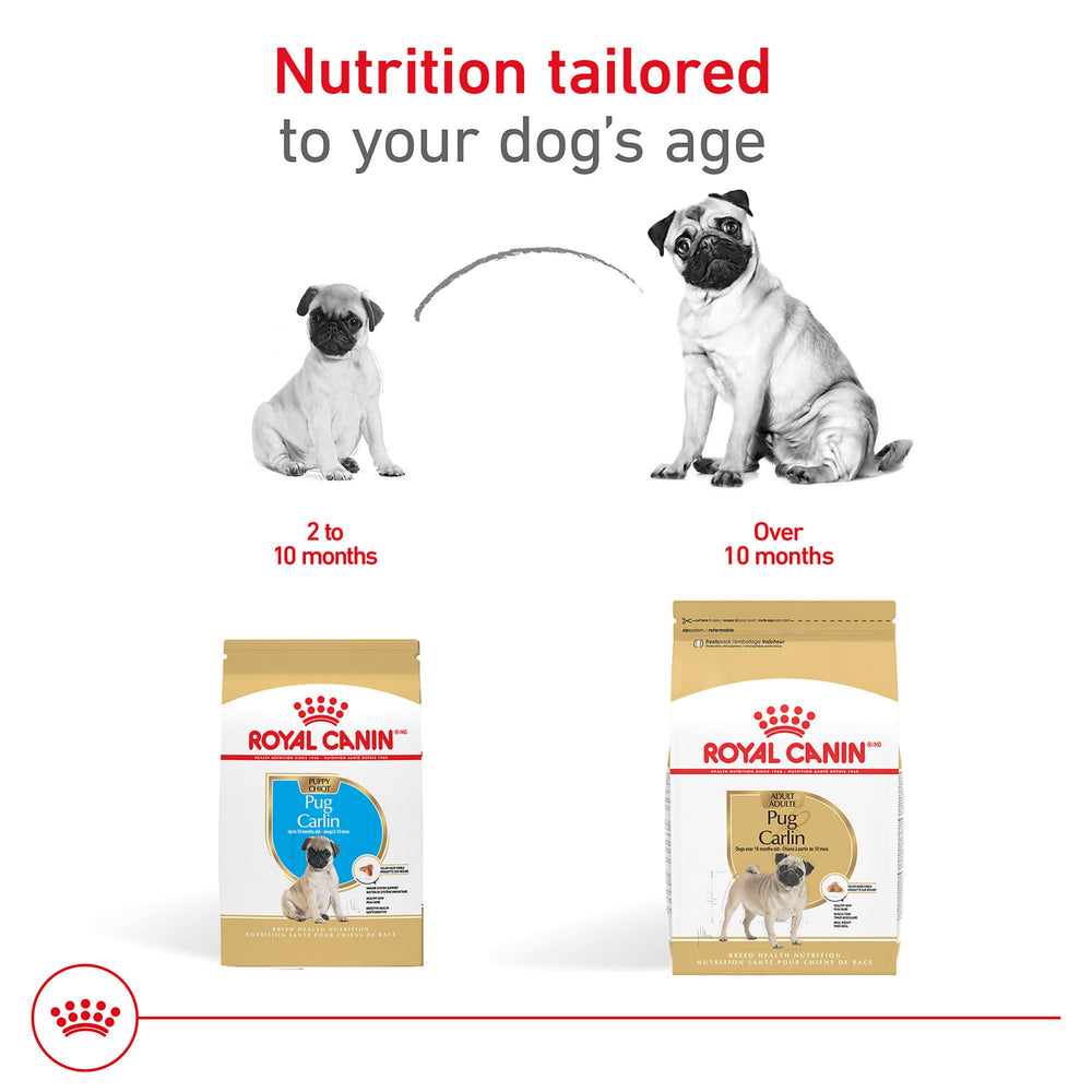 ROYAL CANIN portion mesurée comparée à une main pour contrôler les rations