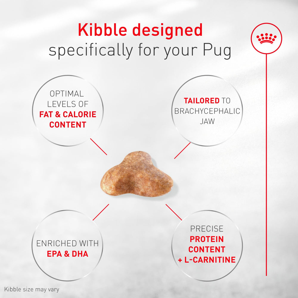 ROYAL CANIN vue des ingrédients illustrant la composition équilibrée pour carlins
