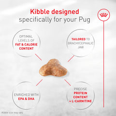 ROYAL CANIN vue des ingrédients illustrant la composition équilibrée pour carlins