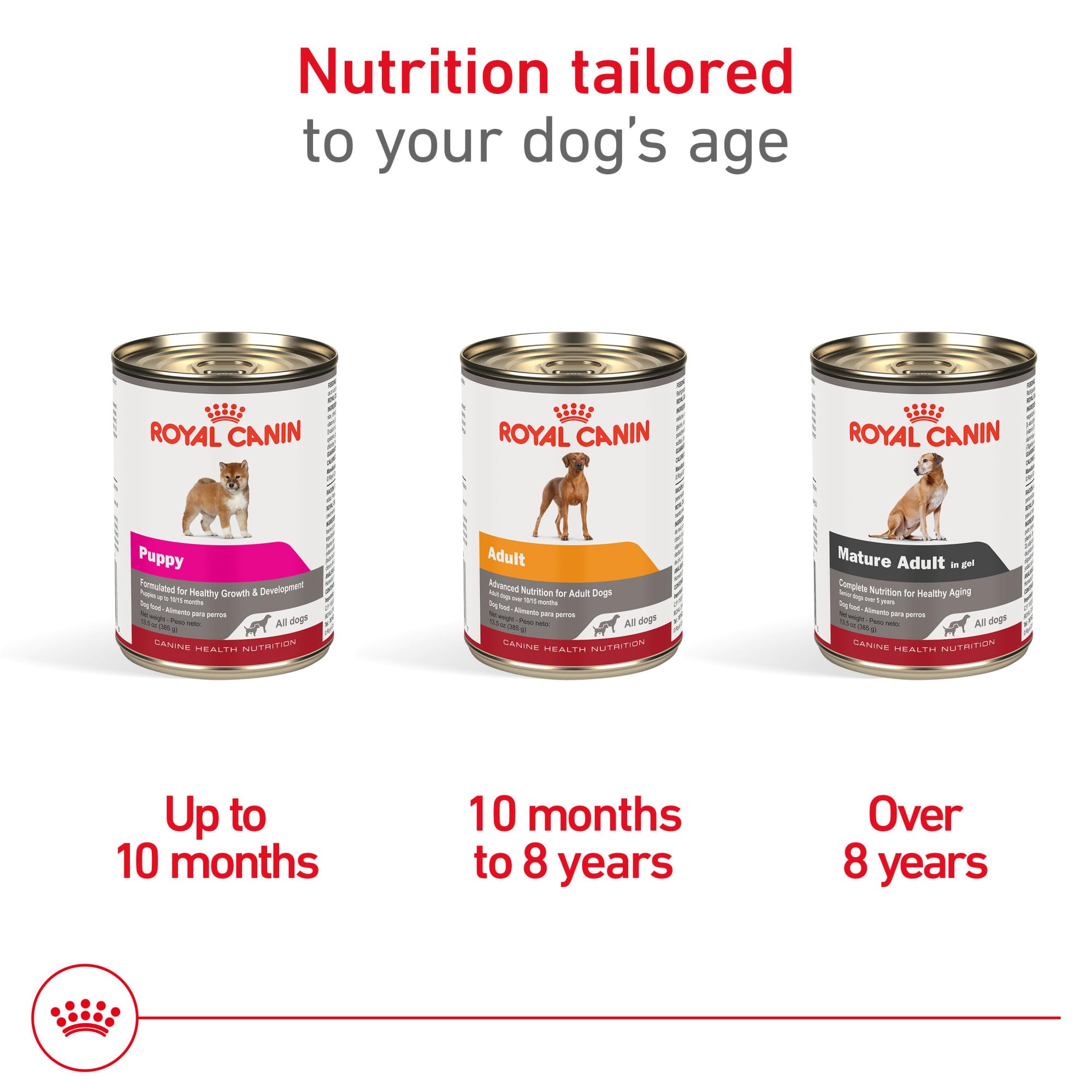 ROYAL CANIN pâtée mélangée avec croquettes pour un repas équilibré