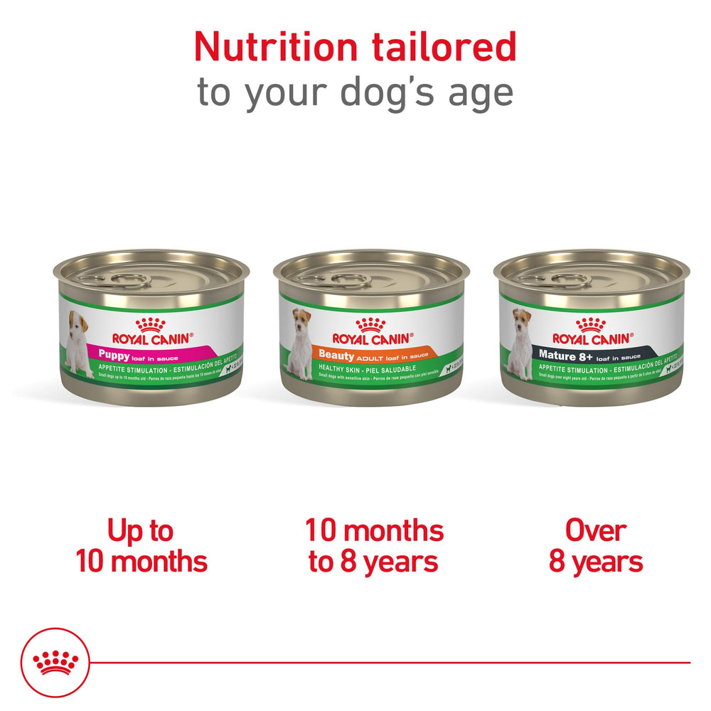 ROYAL CANIN mélange pâtée et croquettes pour repas varié et équilibré