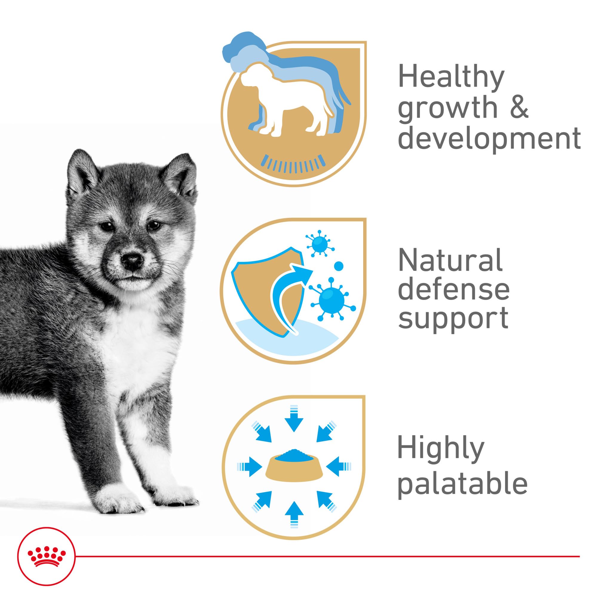 ROYAL CANIN gros plan sur la pâtée soulignant appétence et digestibilité