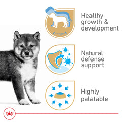 ROYAL CANIN gros plan sur la pâtée soulignant appétence et digestibilité