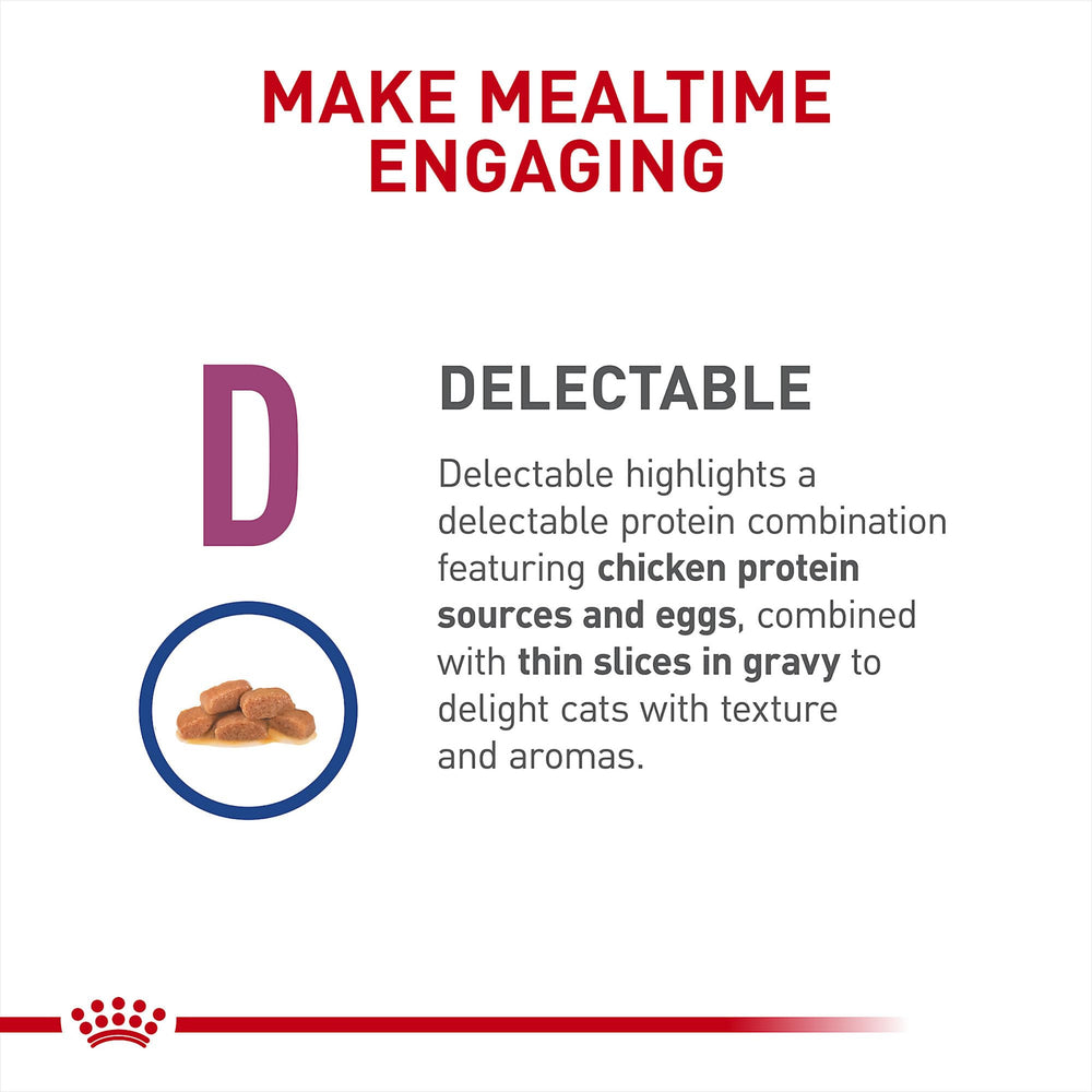 ROYAL CANIN pack de 6 boîtes pratique pour fournir repas réguliers