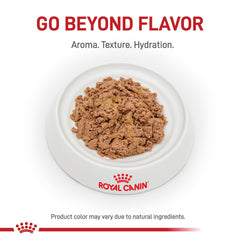 ROYAL CANIN gros plan loaf en sauce montrant texture appétente et attractivité
