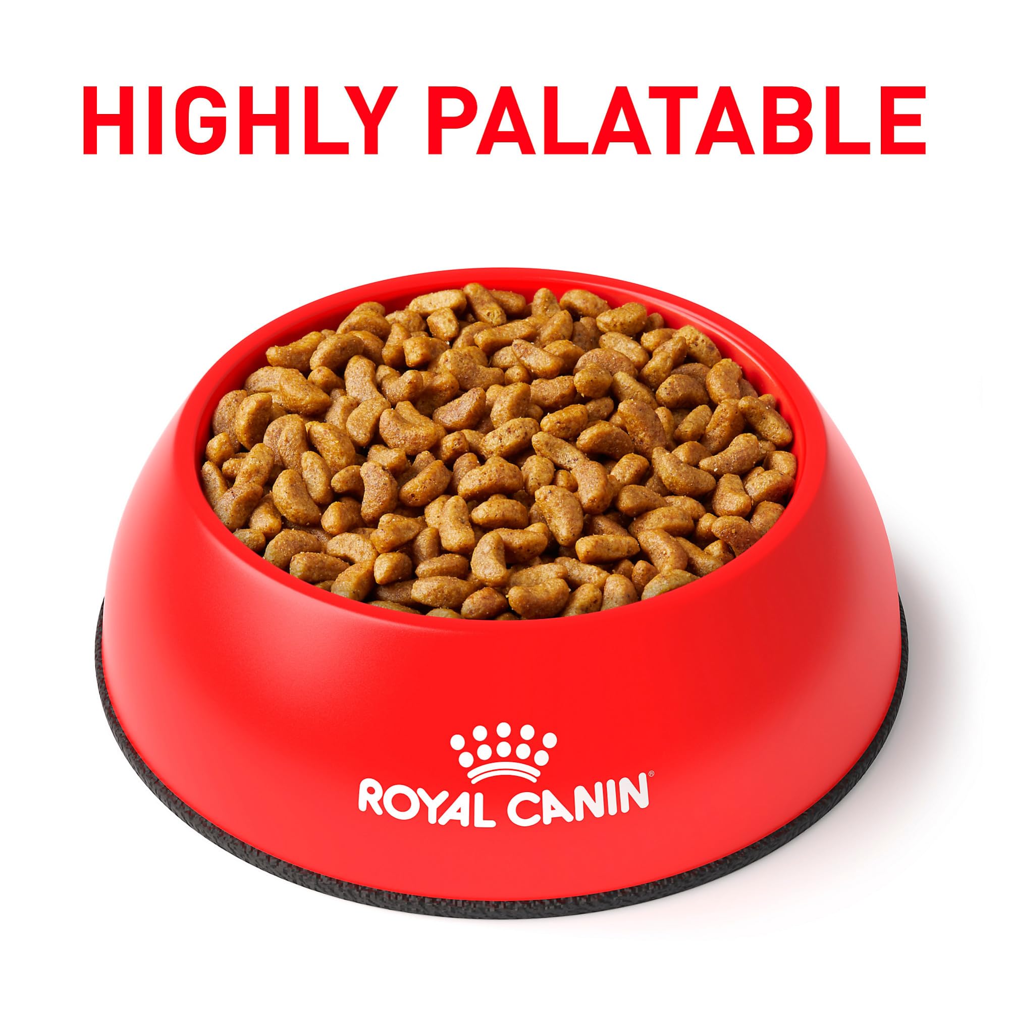ROYAL CANIN croquettes en forme de croissant facilitant prise en bouche