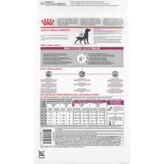 Royal Canin texture des croquettes visible pour une prise facile en bouche