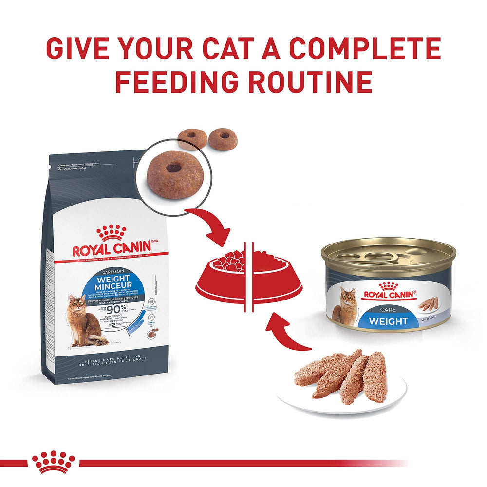ROYAL CANIN sac 6 lb posé pour visualiser échelle et quantité pratique