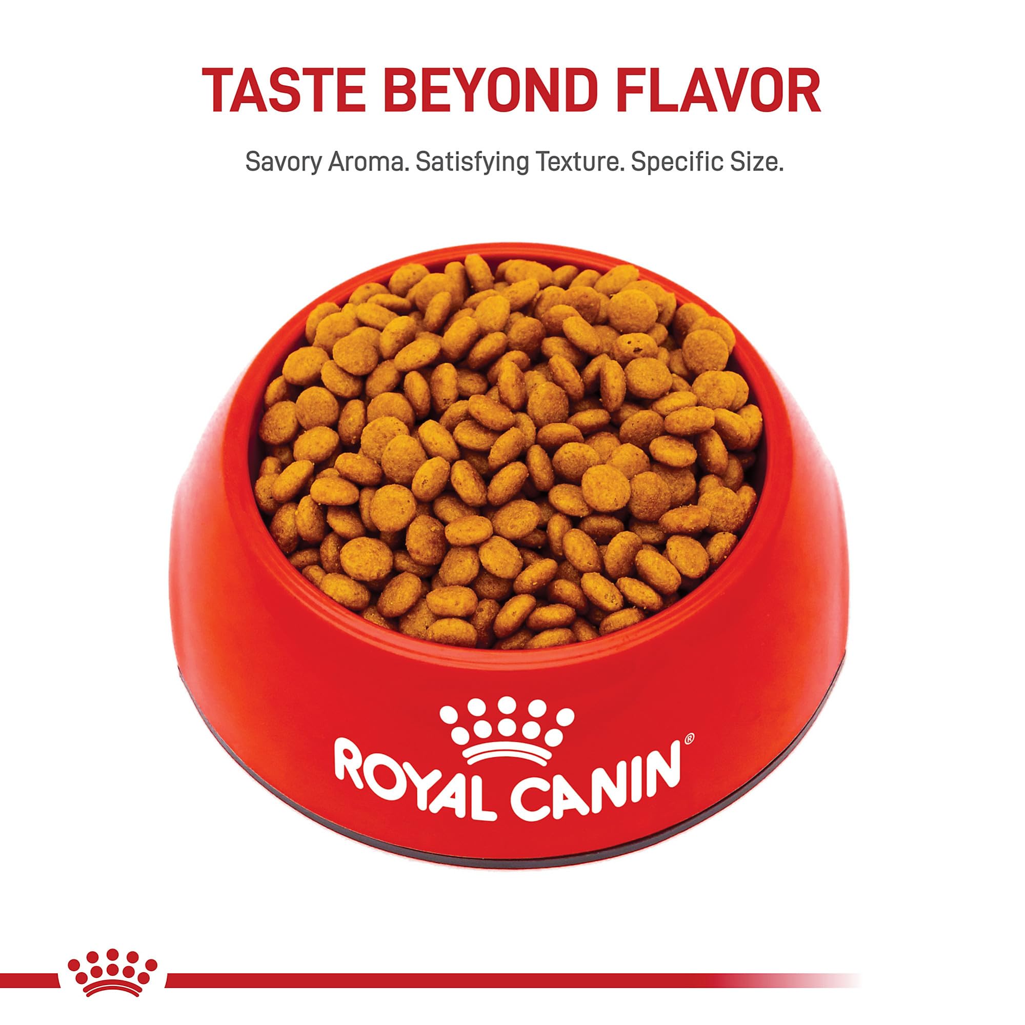 Royal Canin sac 2,5 lb zoom sur conditionnement pratique