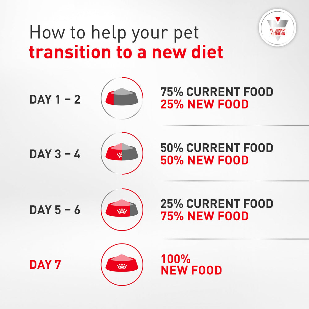 ROYAL CANIN sac ouvert révélant le contenu prêt à servir