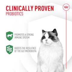 Royal Canin sachet ouvert poudre prête à saupoudrer pour appétence