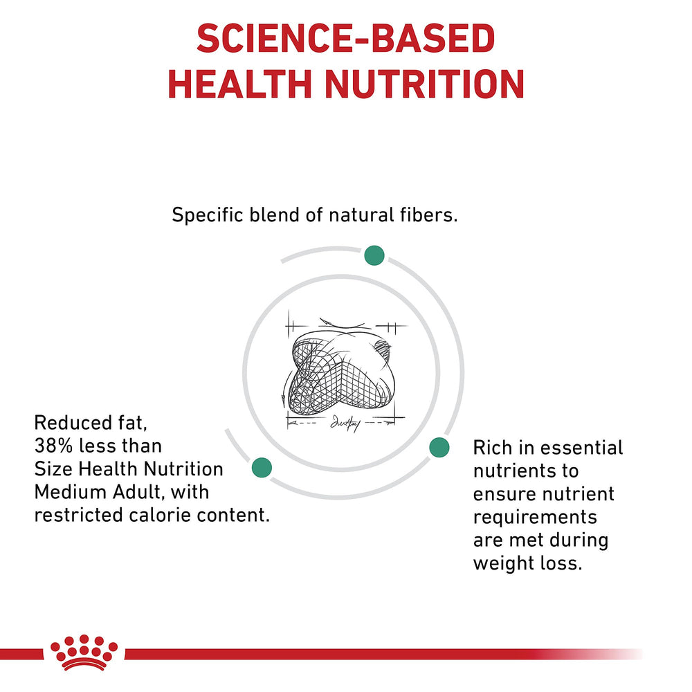 ROYAL CANIN chien en promenade illustrant activité et perte de poids