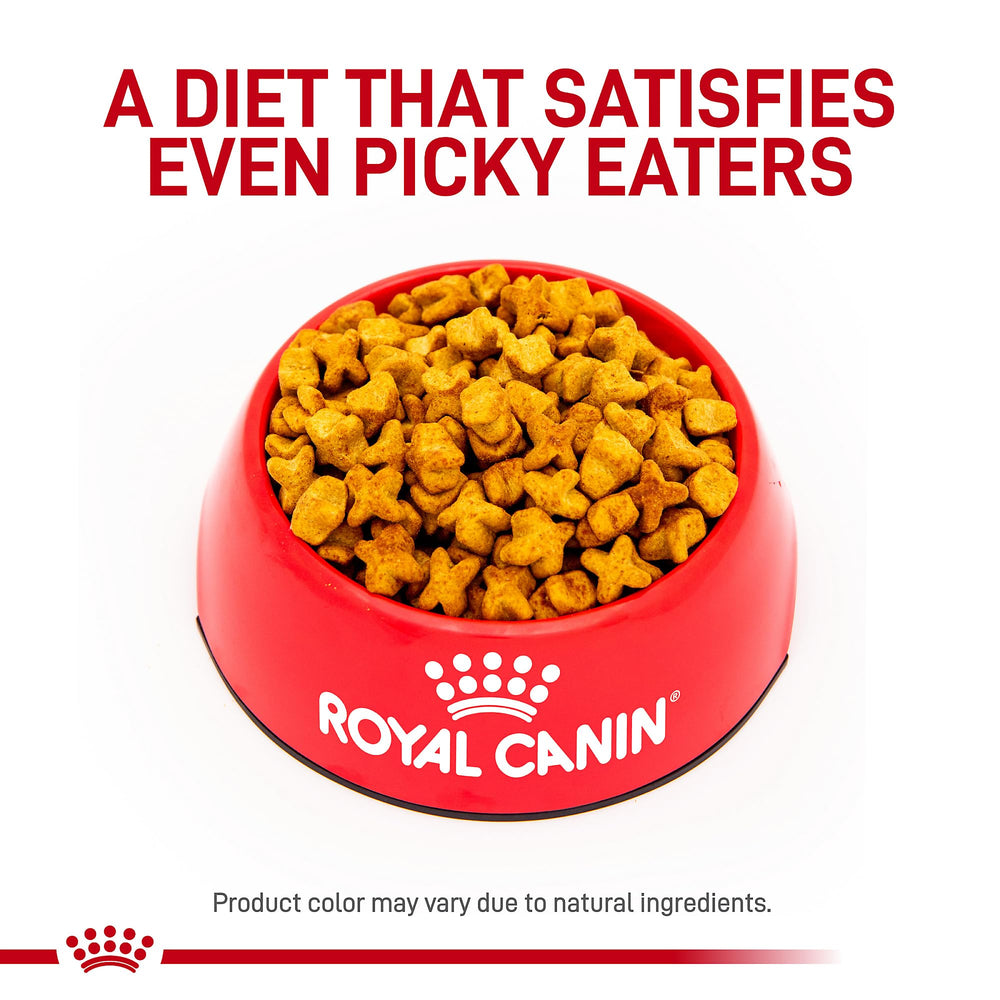 ROYAL CANIN étiquette nutritionnelle détaillée pour contrôle diète