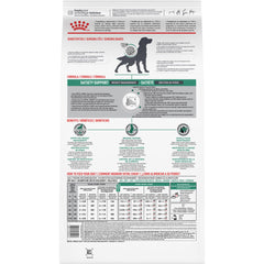 ROYAL CANIN croquettes dans une main pour visualiser la taille utile