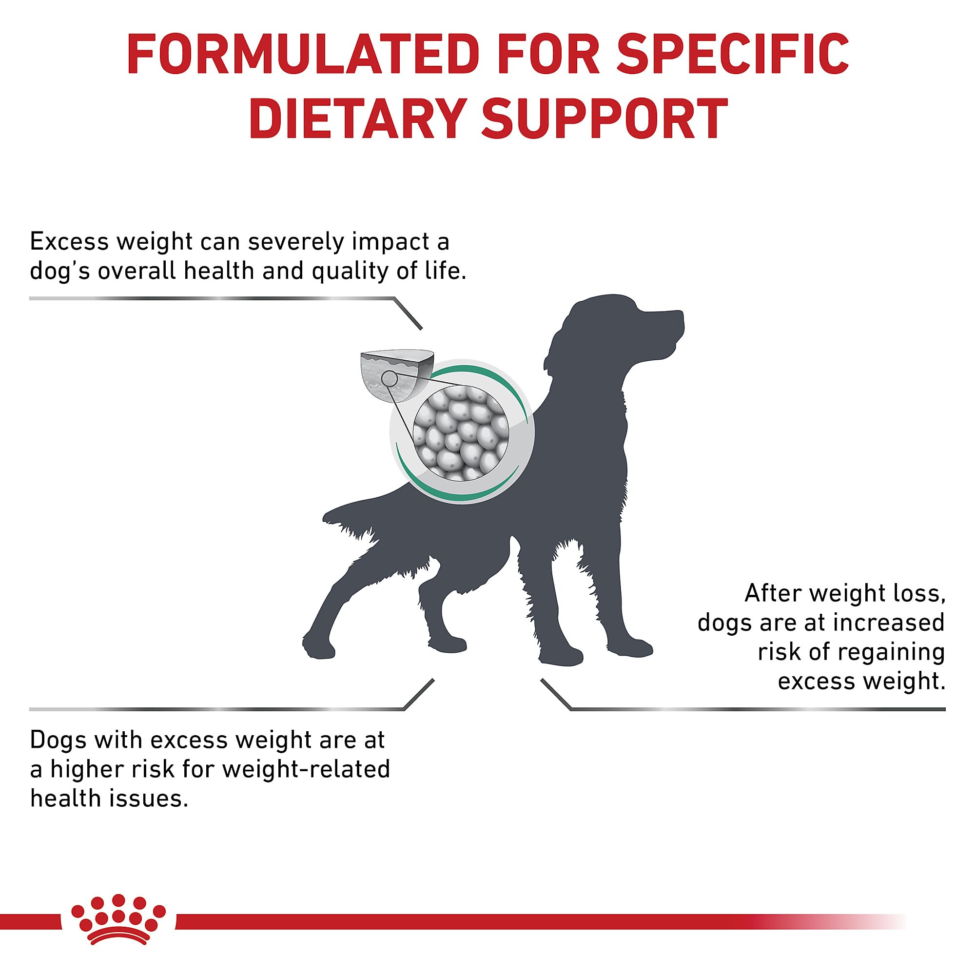ROYAL CANIN sac 26.4 lb montrant échelle de taille et contenance