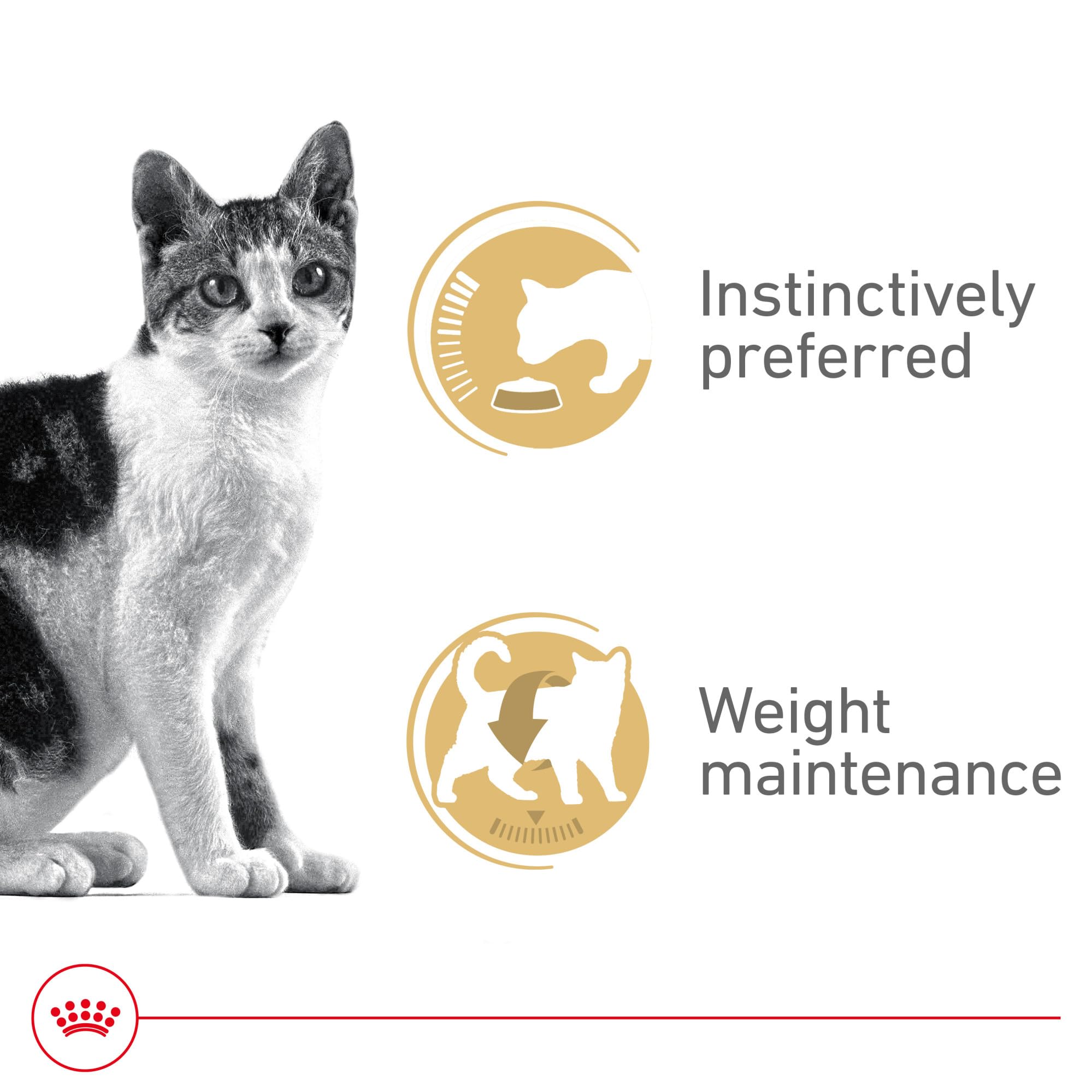 ROYAL CANIN texture de la sauce onctueuse favorisant appétence et hydratation