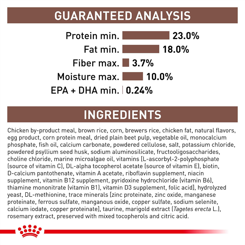 ROYAL CANIN vétérinaire expliquant la recommandation diététique en consultation