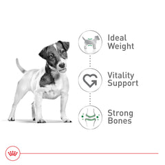Royal Canin gros plan sur croquettes montrant appétence et texture croquante