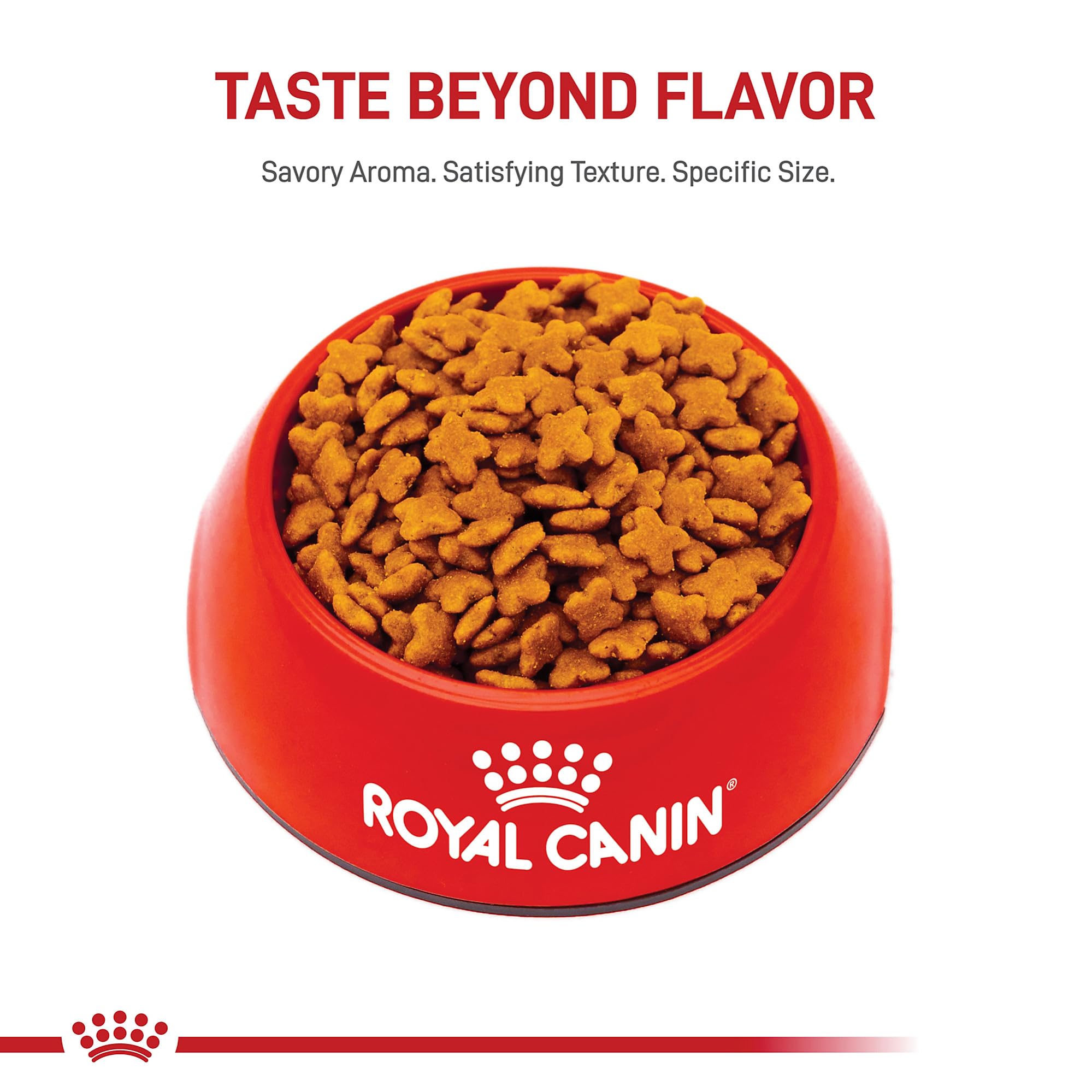 Royal Canin croquettes mélangées à pâtée pour plus d'hydratation et goût