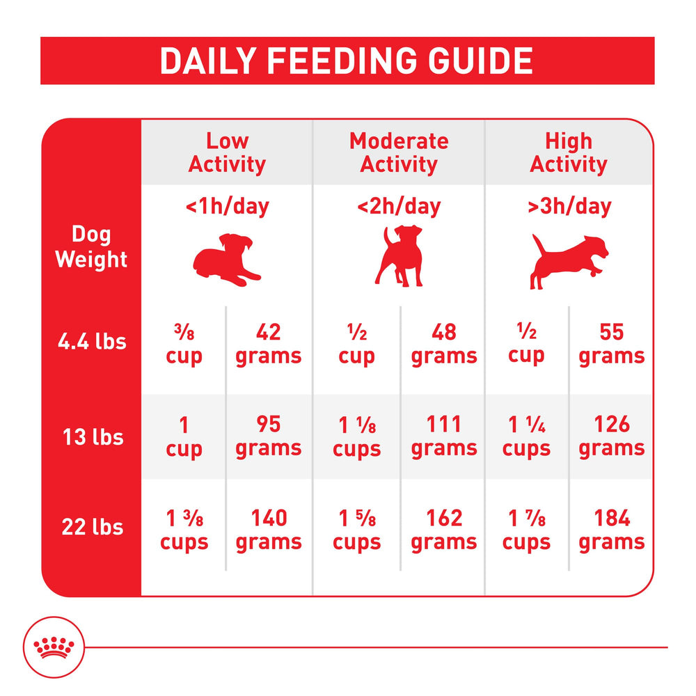 ROYAL CANIN ingrédients secs présentés pour mettre en avant la qualité et la digestibilité