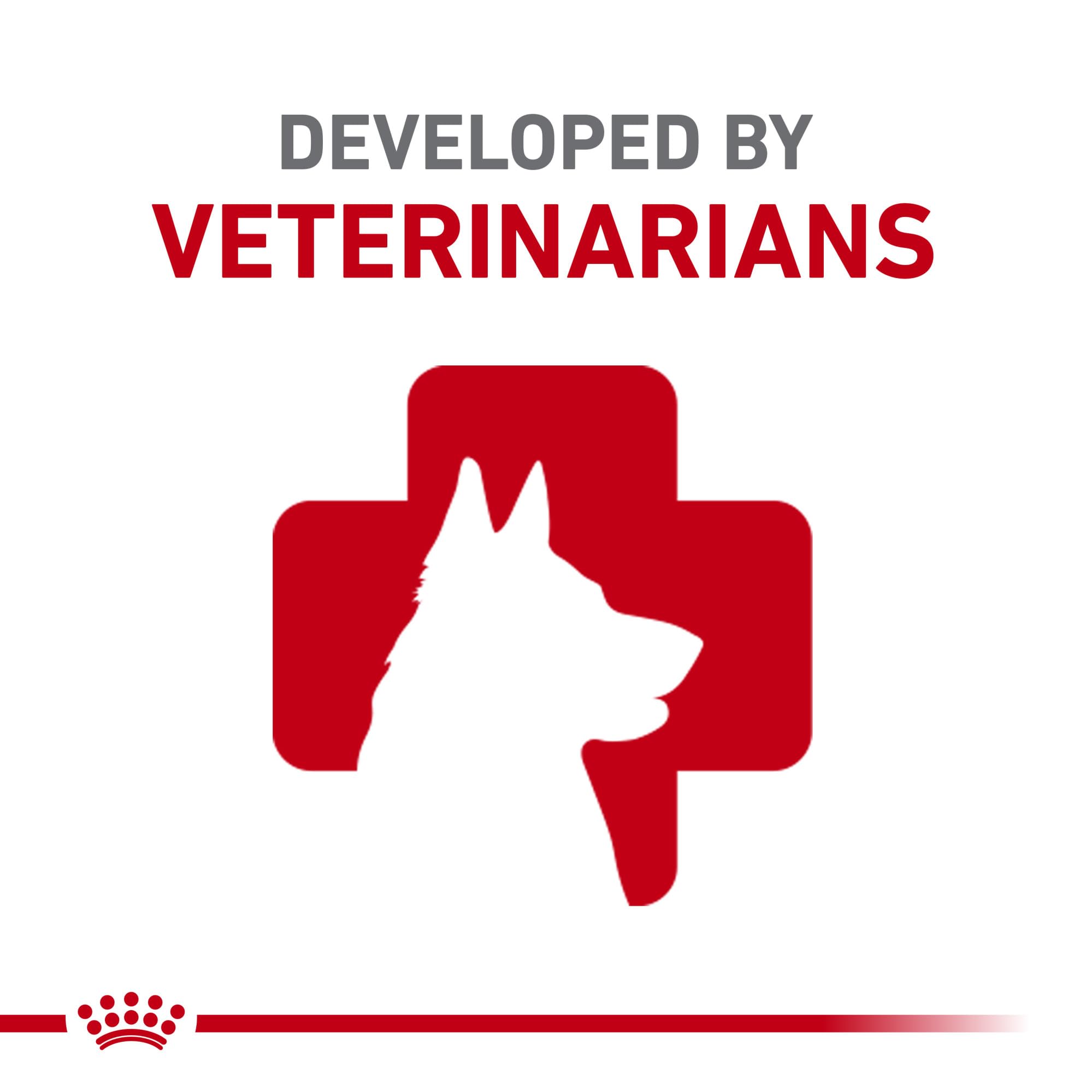 ROYAL CANIN texture croquante en gros plan montrant l’aspect qui favorise la mastication