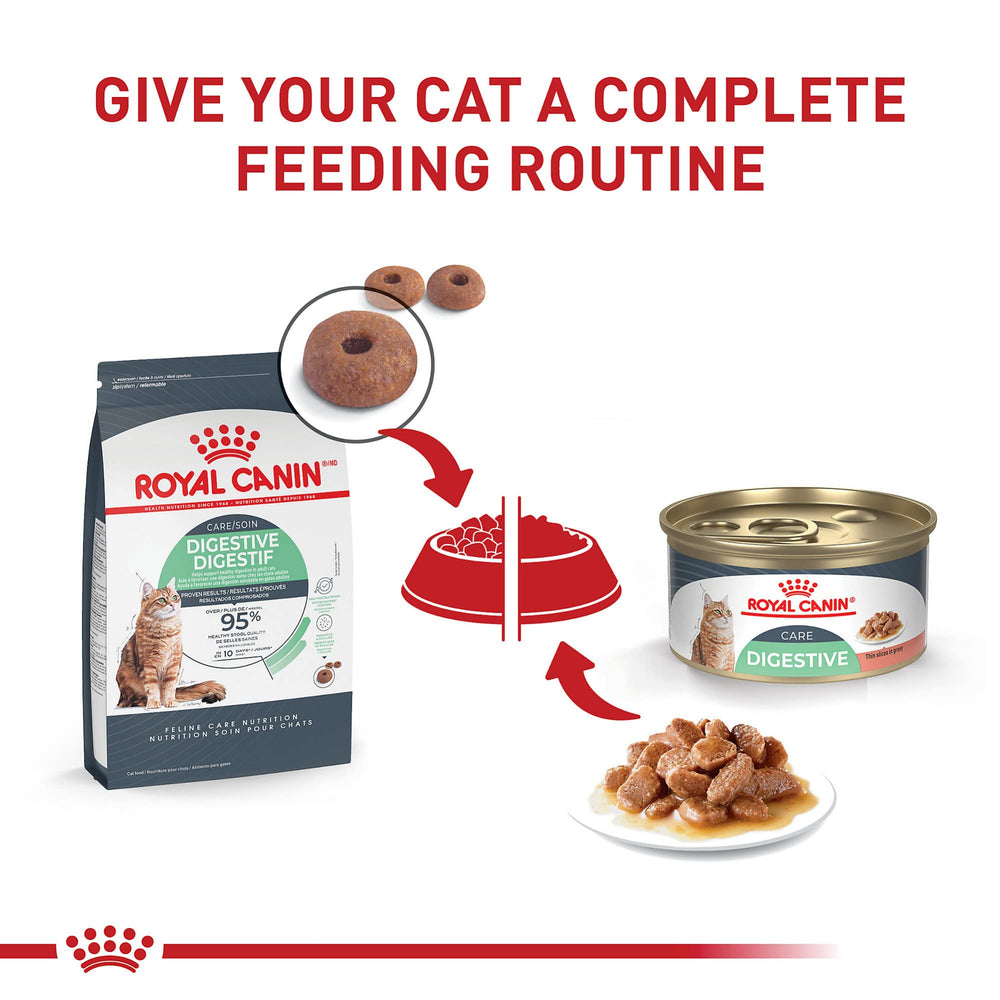 ROYAL CANIN disposition des ingrédients clés pour soutien intestinal