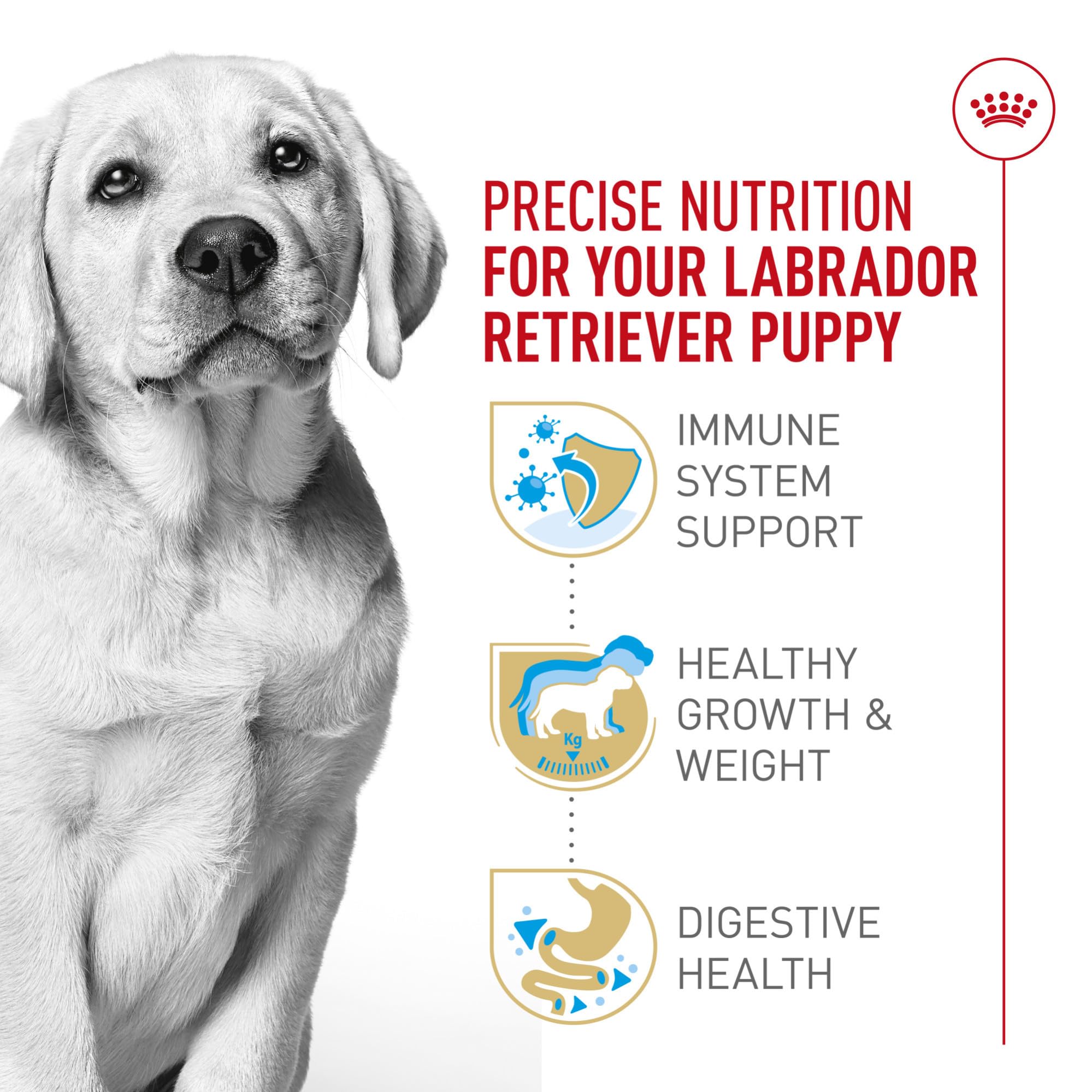 Royal Canin étiquette nutritionnelle détaillée garantissant contrôle des nutriments