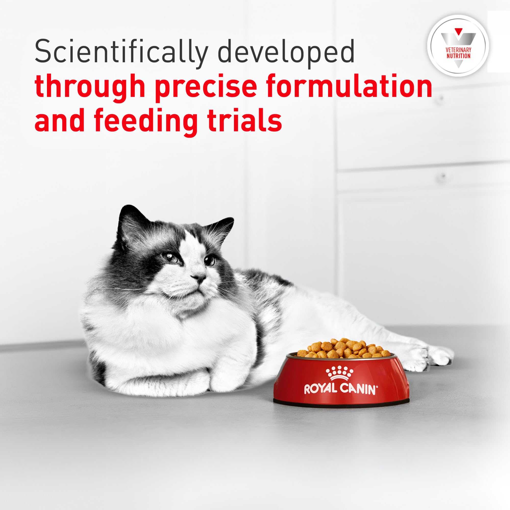 ROYAL CANIN étiquette nutritionnelle détaillée pour choix éclairé
