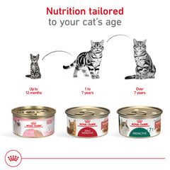 Royal Canin comparaison d'échelle montrant taille de la boîte pour portion individuelle