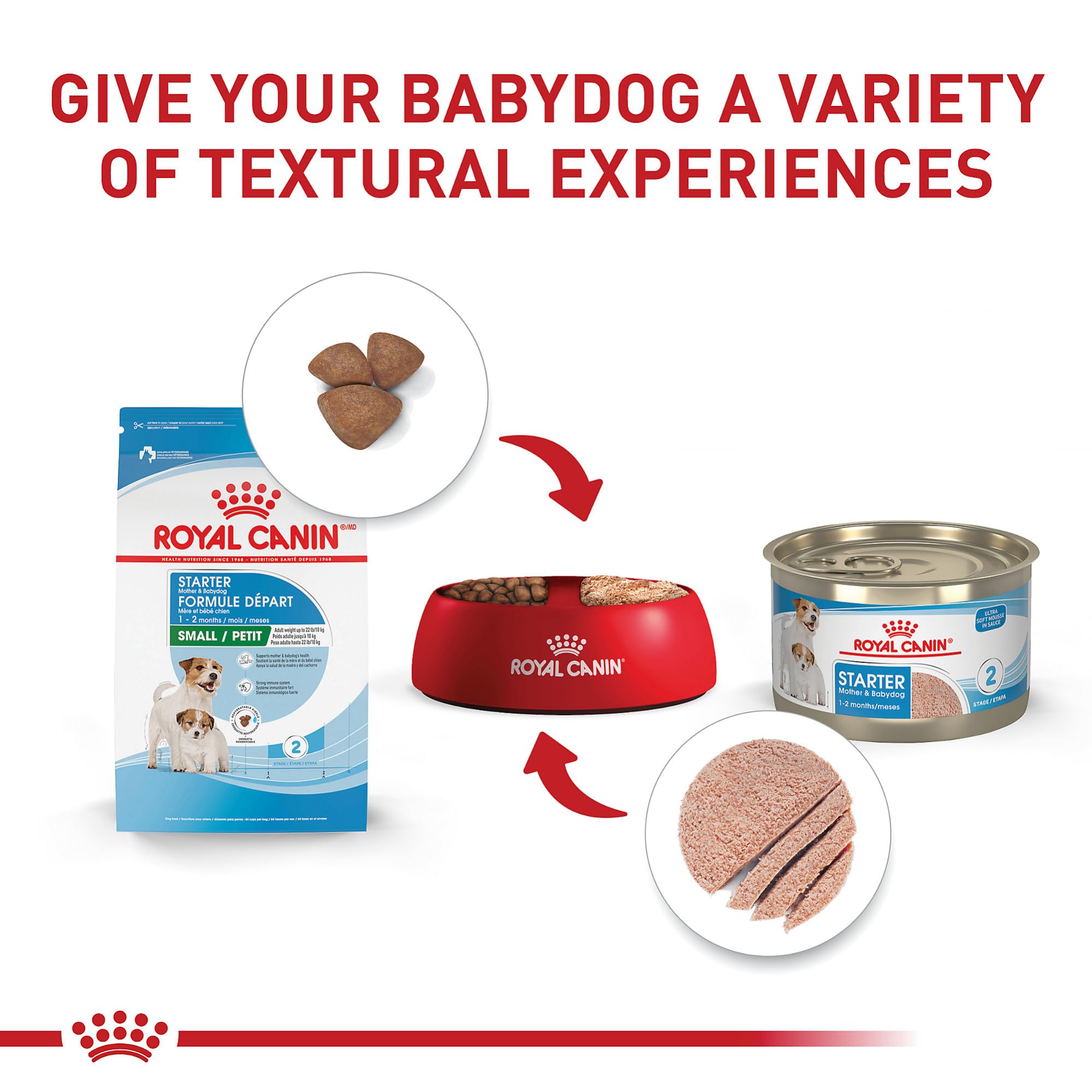 ROYAL CANIN croquette à l’échelle main pour visualiser la petite taille pratique