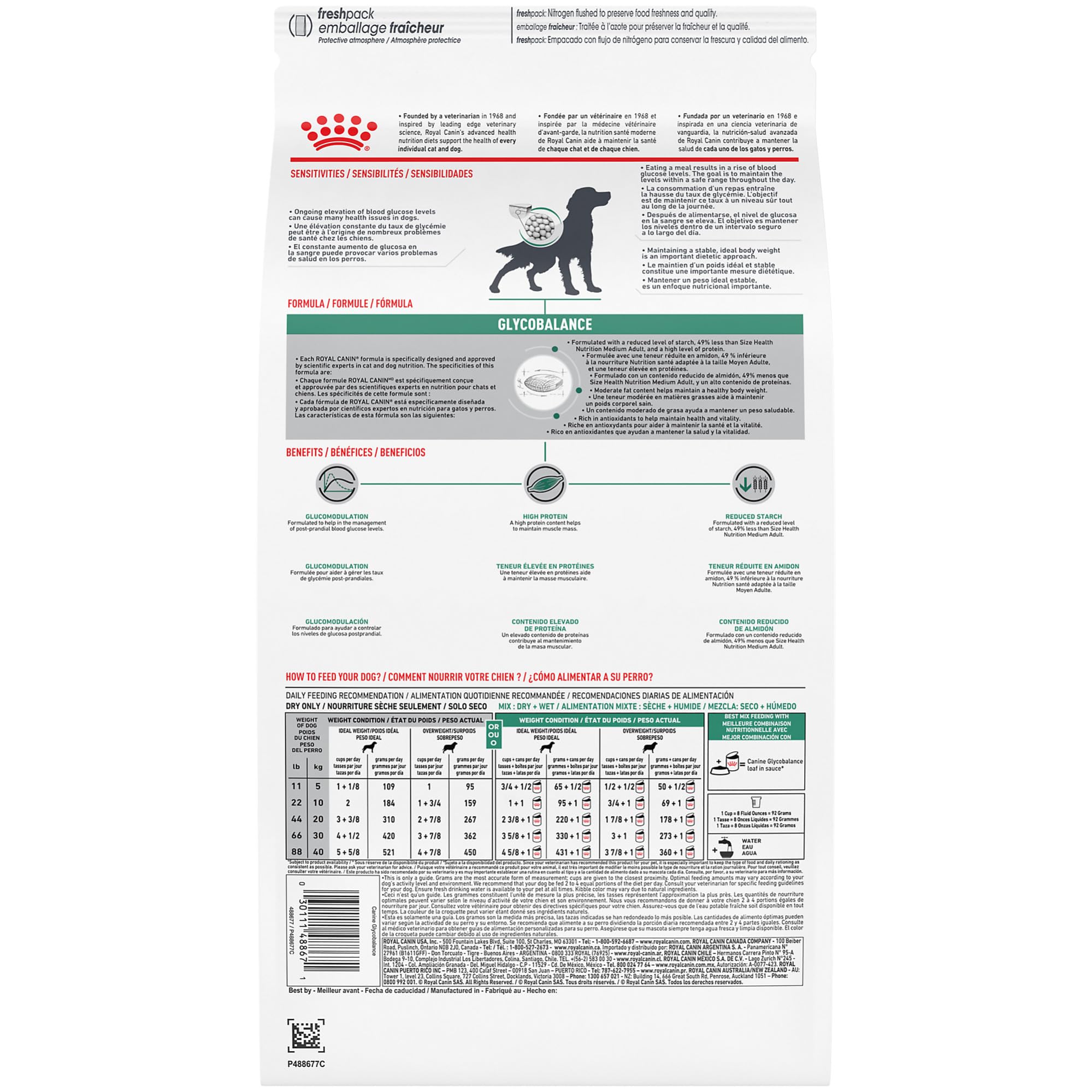 ROYAL CANIN chien mange des croquettes pour une prise alimentaire régulière