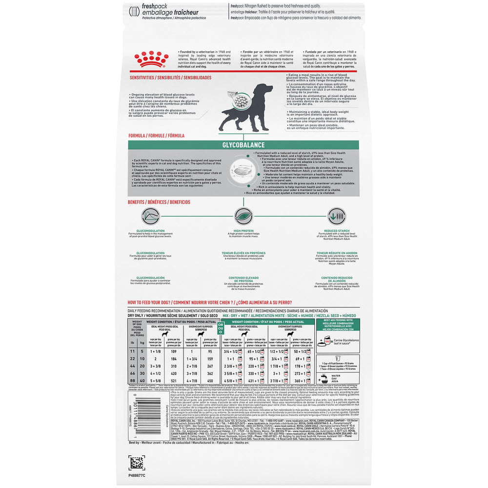 ROYAL CANIN chien mange des croquettes pour une prise alimentaire régulière