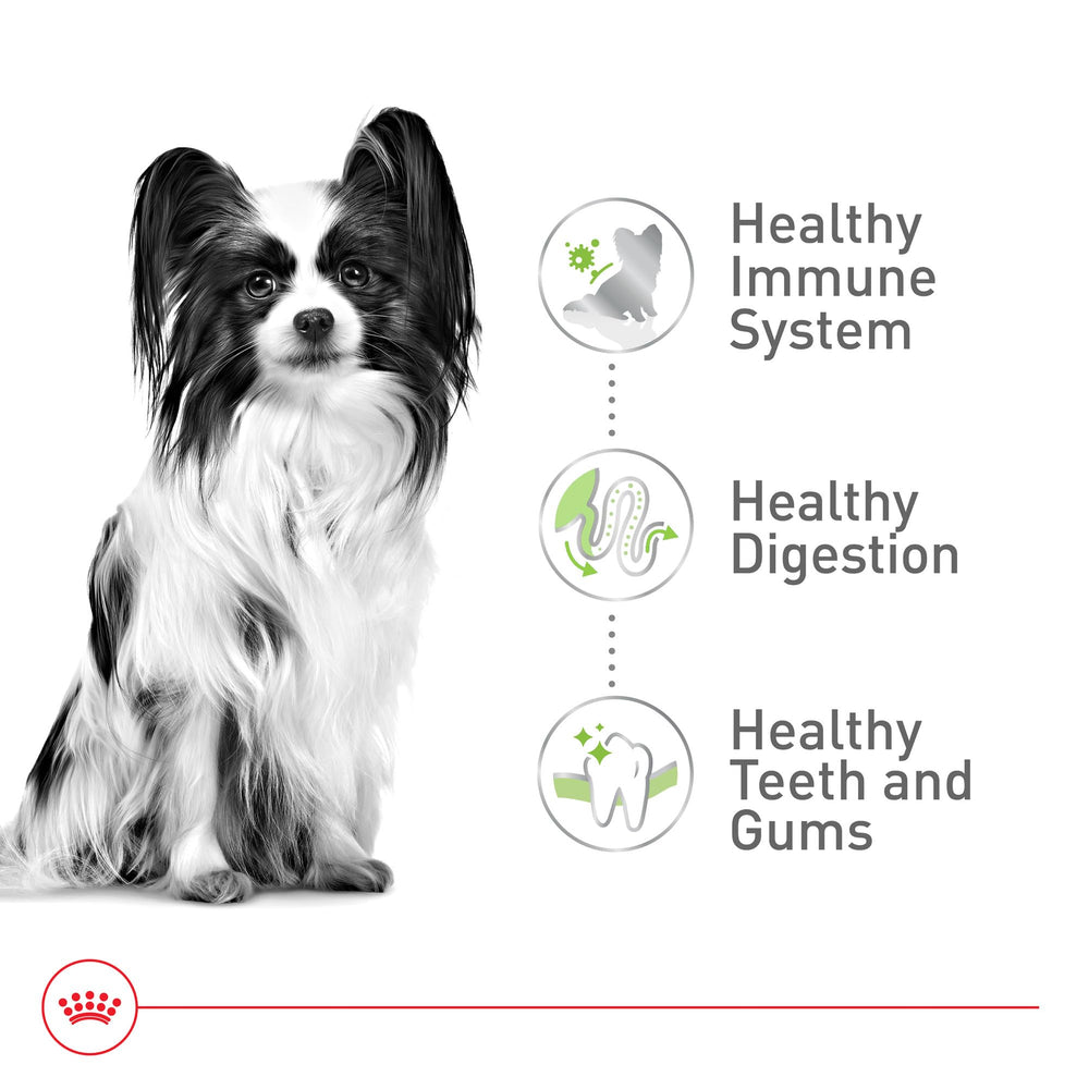 Royal Canin texture croquante de la croquette favorisant mastication