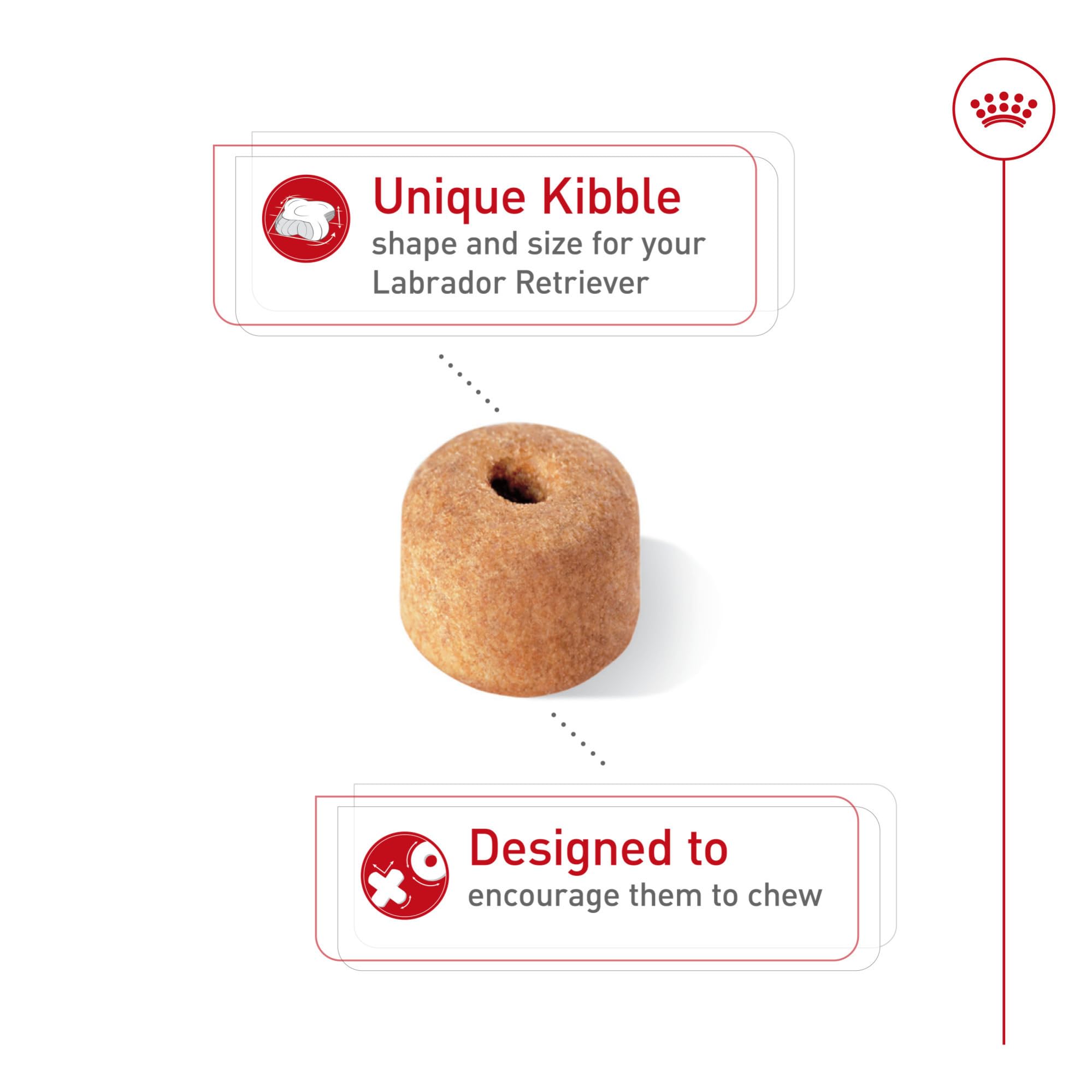 ROYAL CANIN texture de croquette détaillée pour une mastication lente