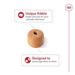 ROYAL CANIN texture de croquette détaillée pour une mastication lente