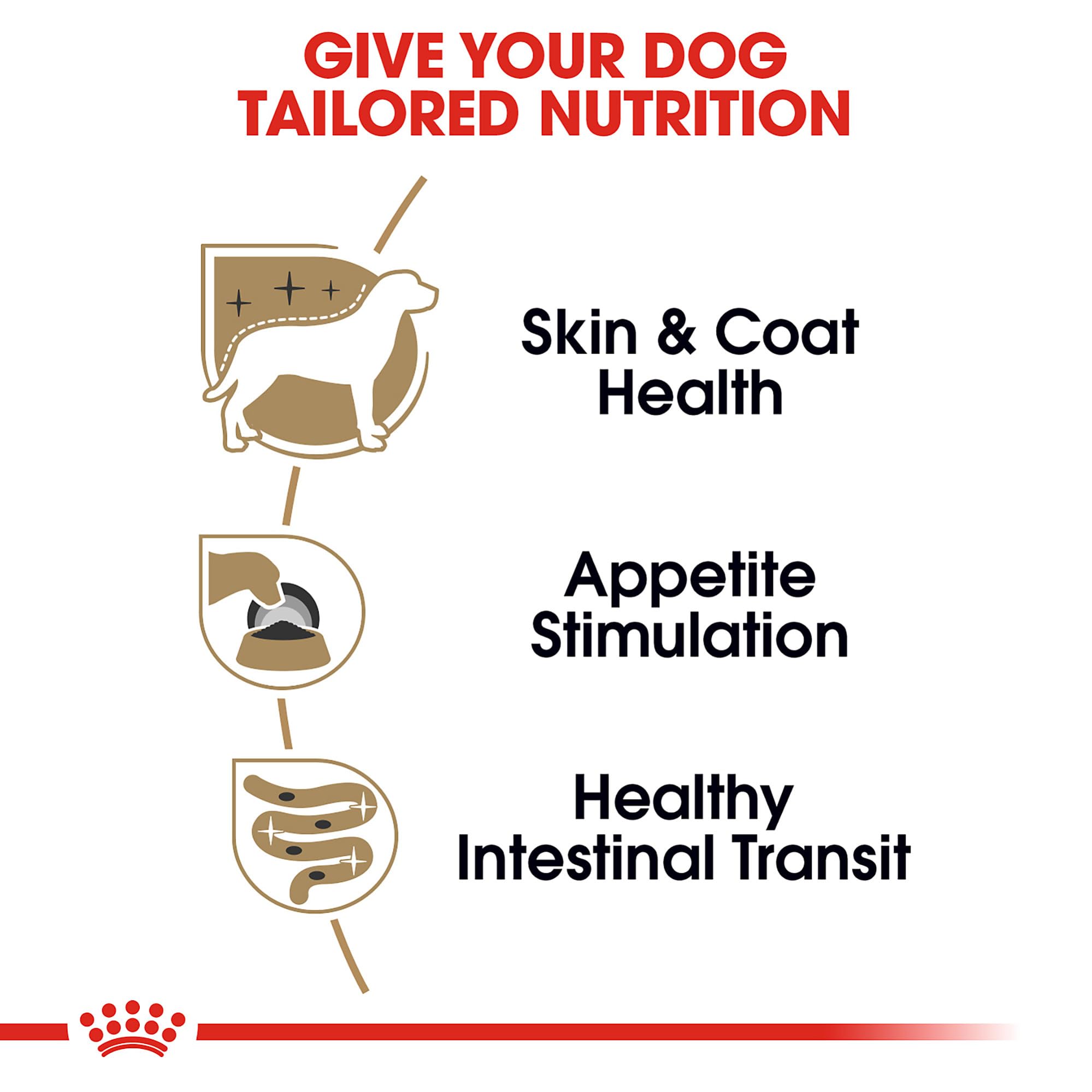 ROYAL CANIN texture fine de la pâtée illustrant mastication aisée pour petites mâchoires