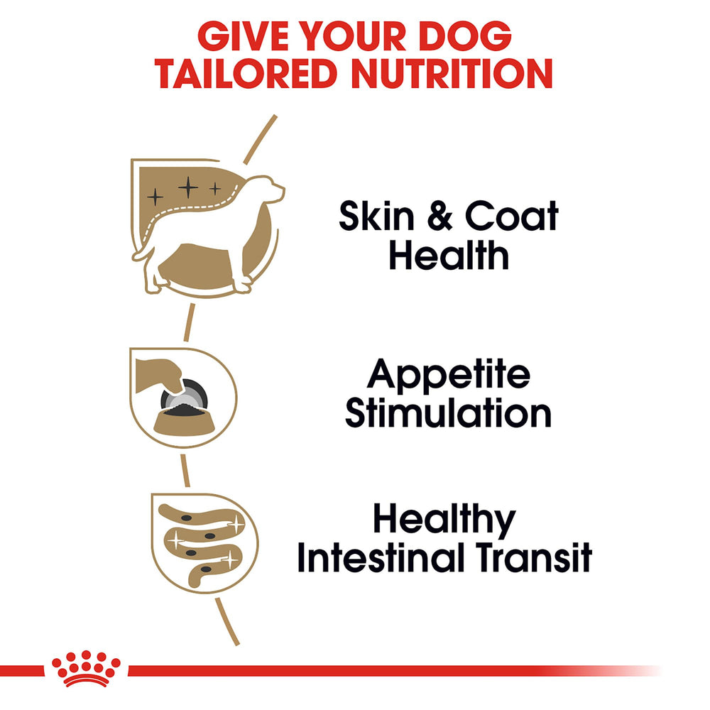ROYAL CANIN texture fine de la pâtée illustrant mastication aisée pour petites mâchoires