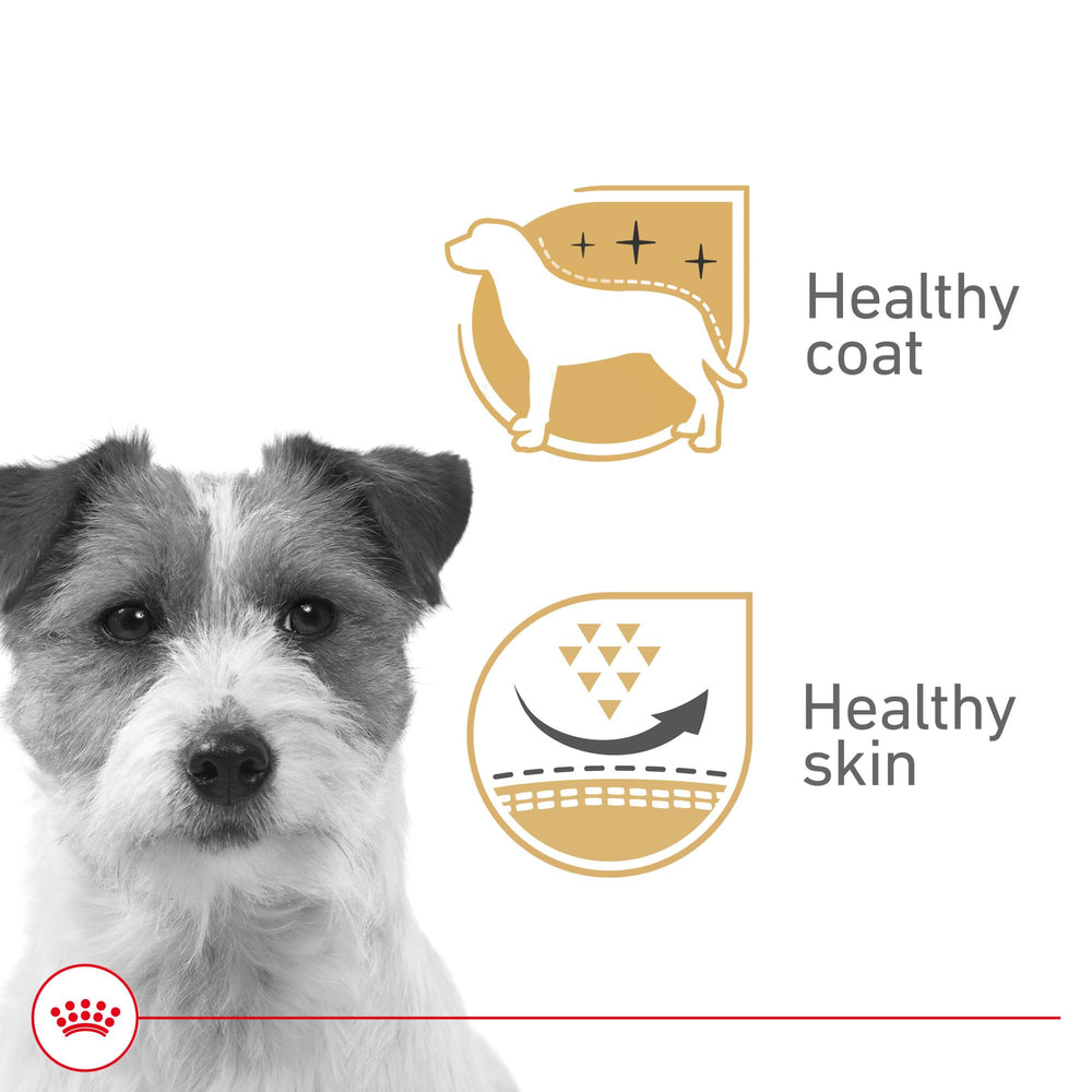 ROYAL CANIN détail de la sauce riche pour une meilleure hydratation