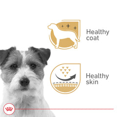 ROYAL CANIN détail de la sauce riche pour une meilleure hydratation