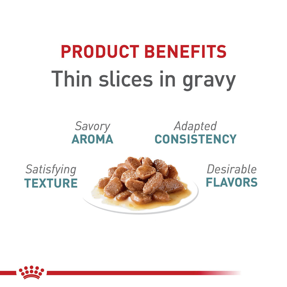 ROYAL CANIN tranches en sauce gros plan montrant texture appétente et facilité de mastication
