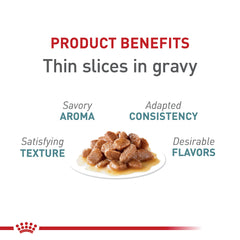 ROYAL CANIN tranches en sauce gros plan montrant texture appétente et facilité de mastication