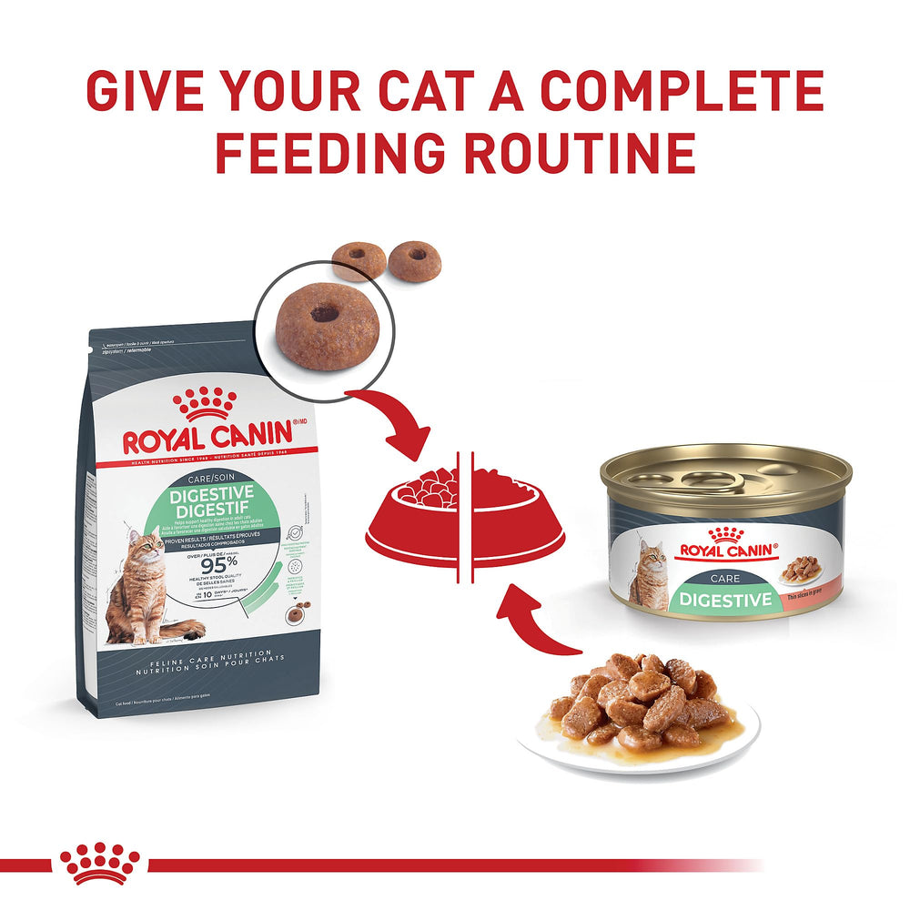 ROYAL CANIN gros plan sur tranches en gravy appétentes pour meilleure absorption