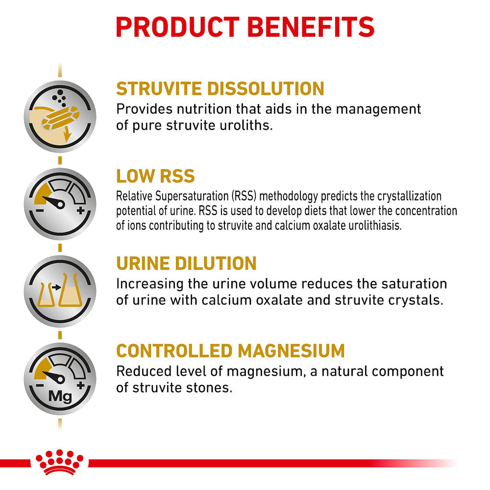 ROYAL CANIN chien mange croquettes confort digestif et appétence