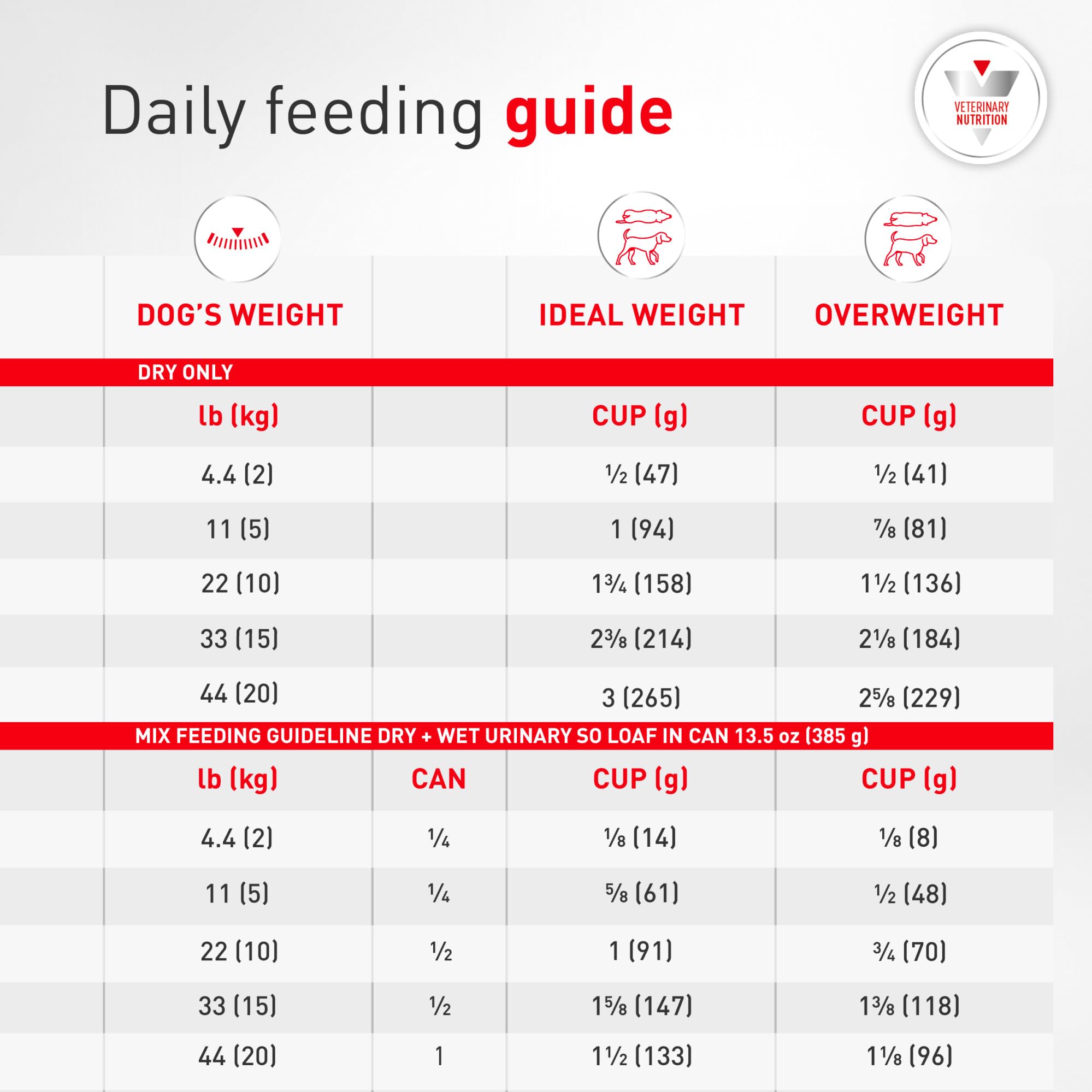 Royal Canin chien mange croquettes montrant acceptation par animal difficile