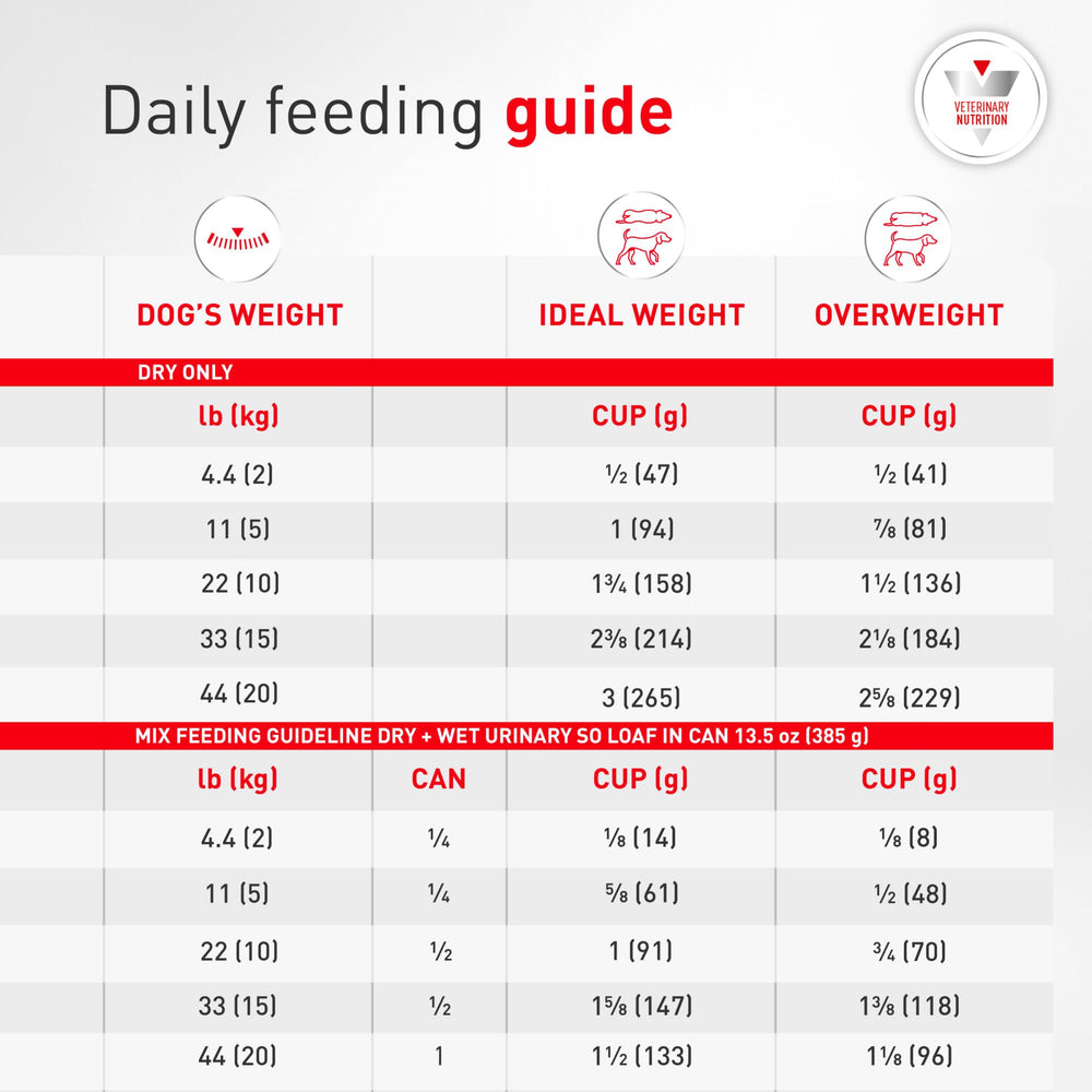 Royal Canin chien mange croquettes montrant acceptation par animal difficile