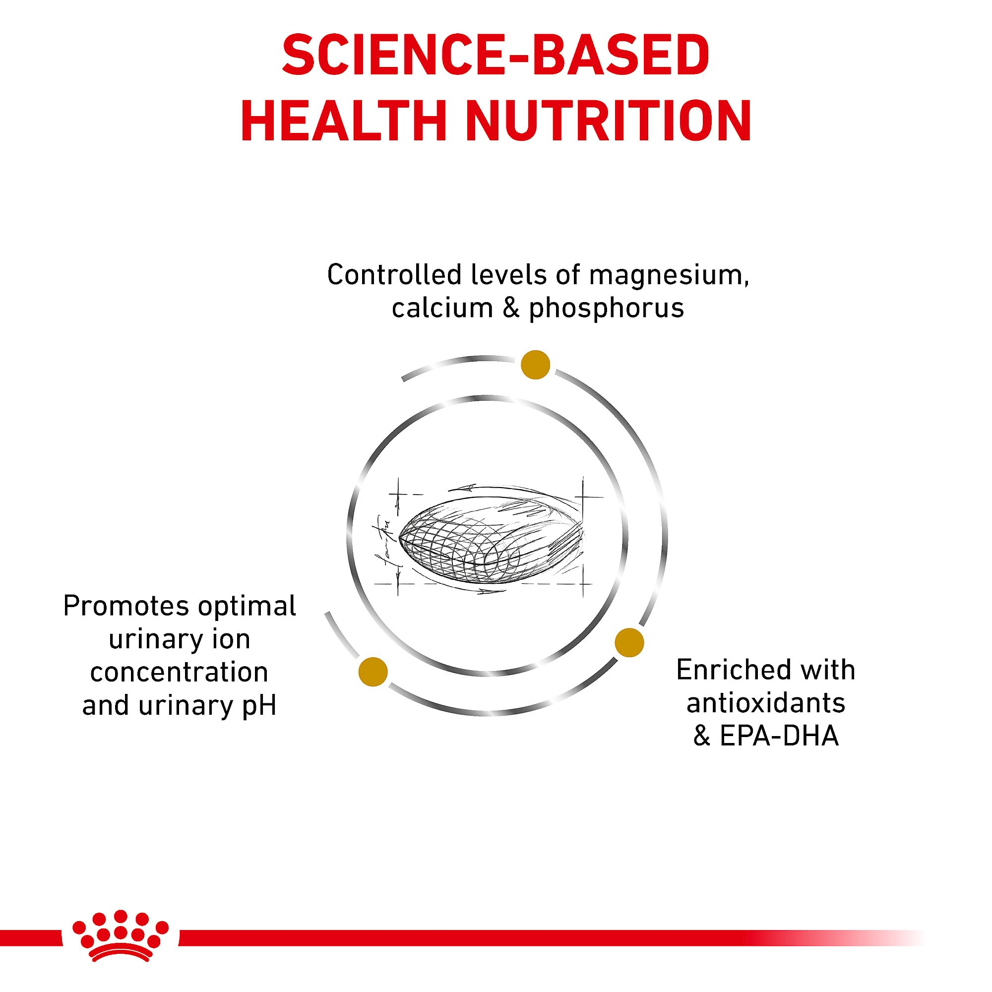 ROYAL CANIN croquettes échelle taille utile pour évaluer portions
