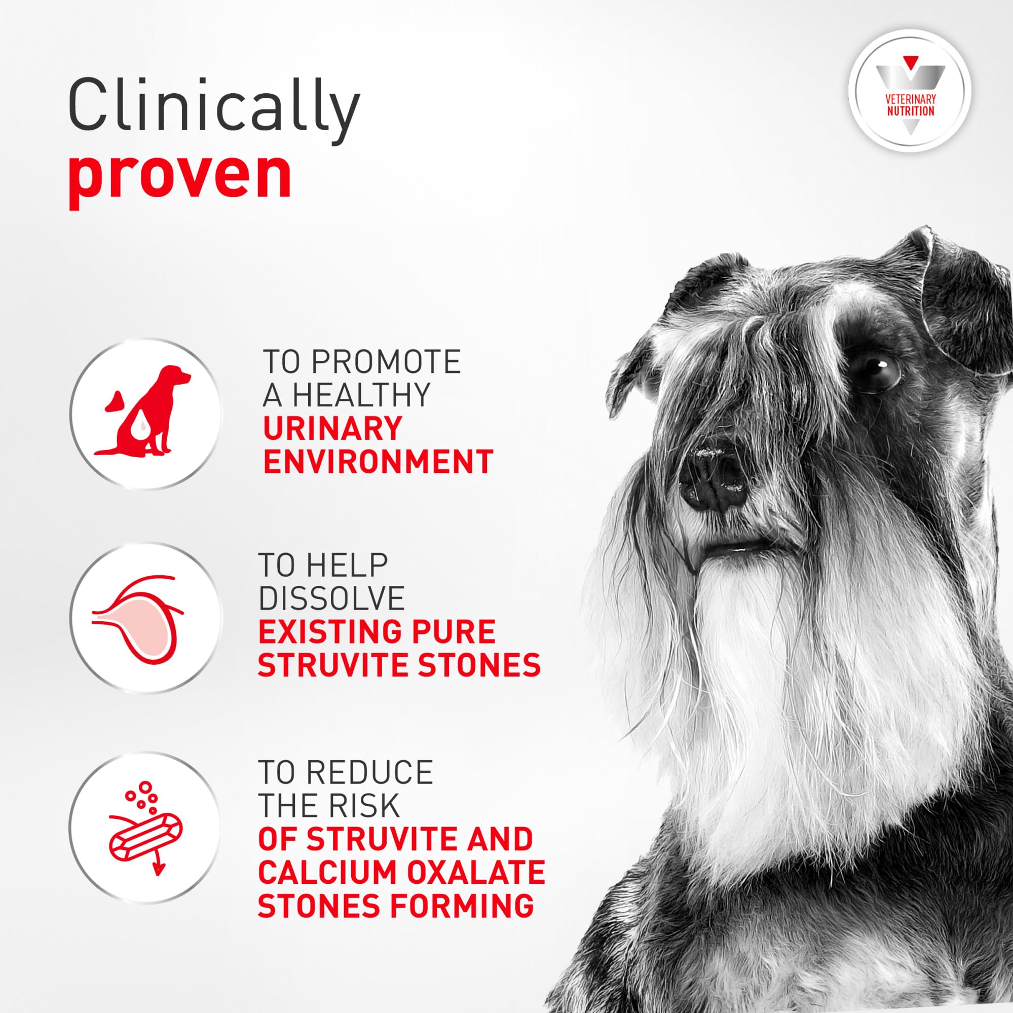 Royal Canin emballage dos avec informations nutritionnelles pour suivi vétérinaire