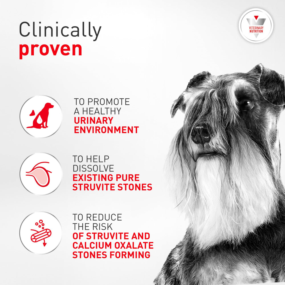 Royal Canin emballage dos avec informations nutritionnelles pour suivi vétérinaire