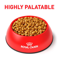 ROYAL CANIN emballage nutritionnel lisible pour guidage vétérinaire