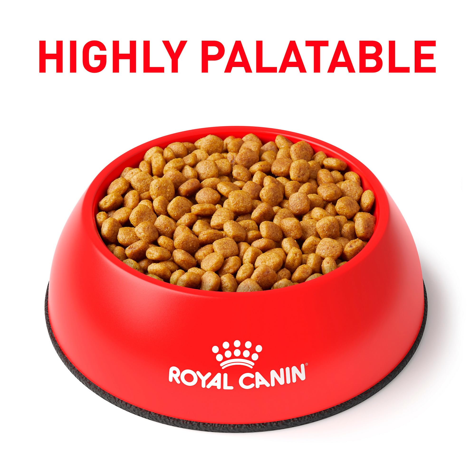 Royal Canin scène de vie montrant intégration du régime au quotidien